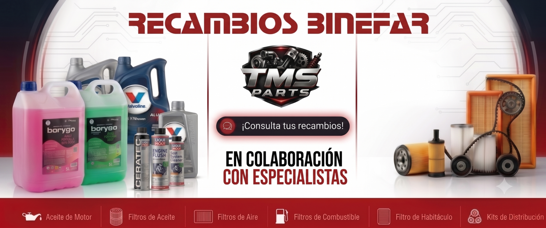 Promoción TMS Parts