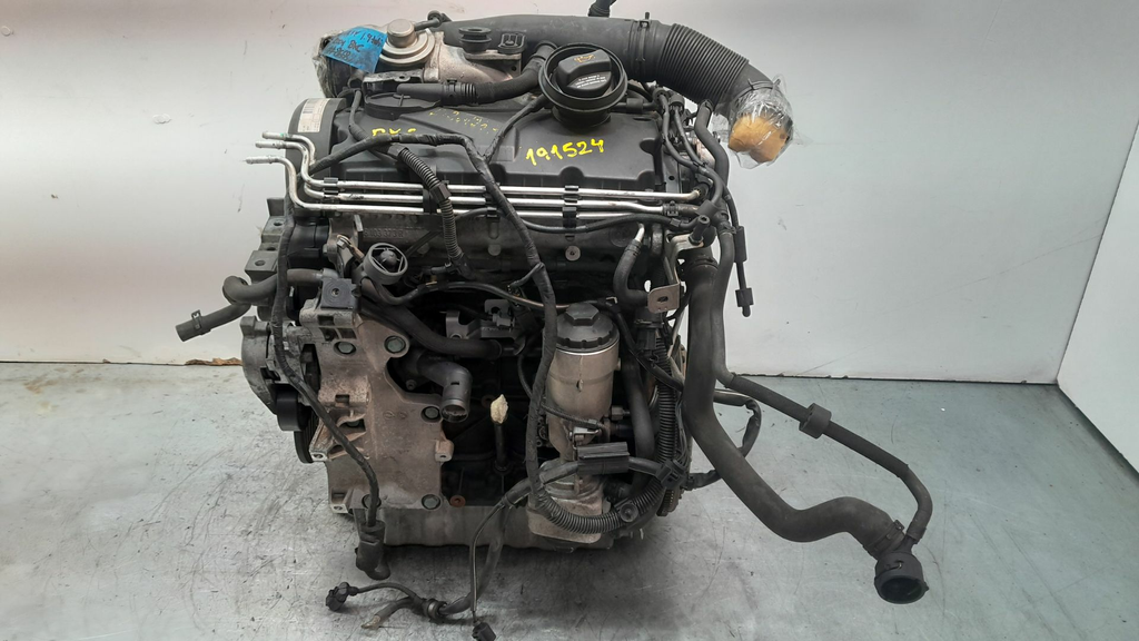 MOTOR COMPLETO - Volkswagen Golf V (1K1) 1.9 TDI 2004 - BKC