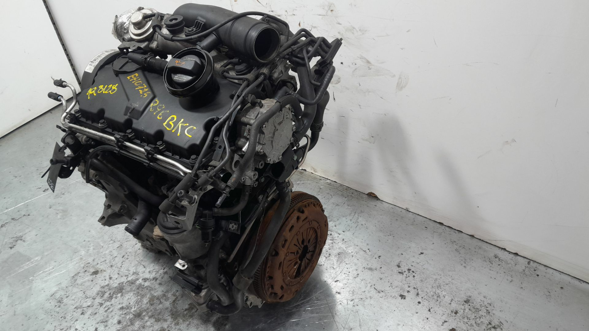 MOTOR COMPLETO - Volkswagen Golf V (1K1) 1.9 TDI 2006 - BKC