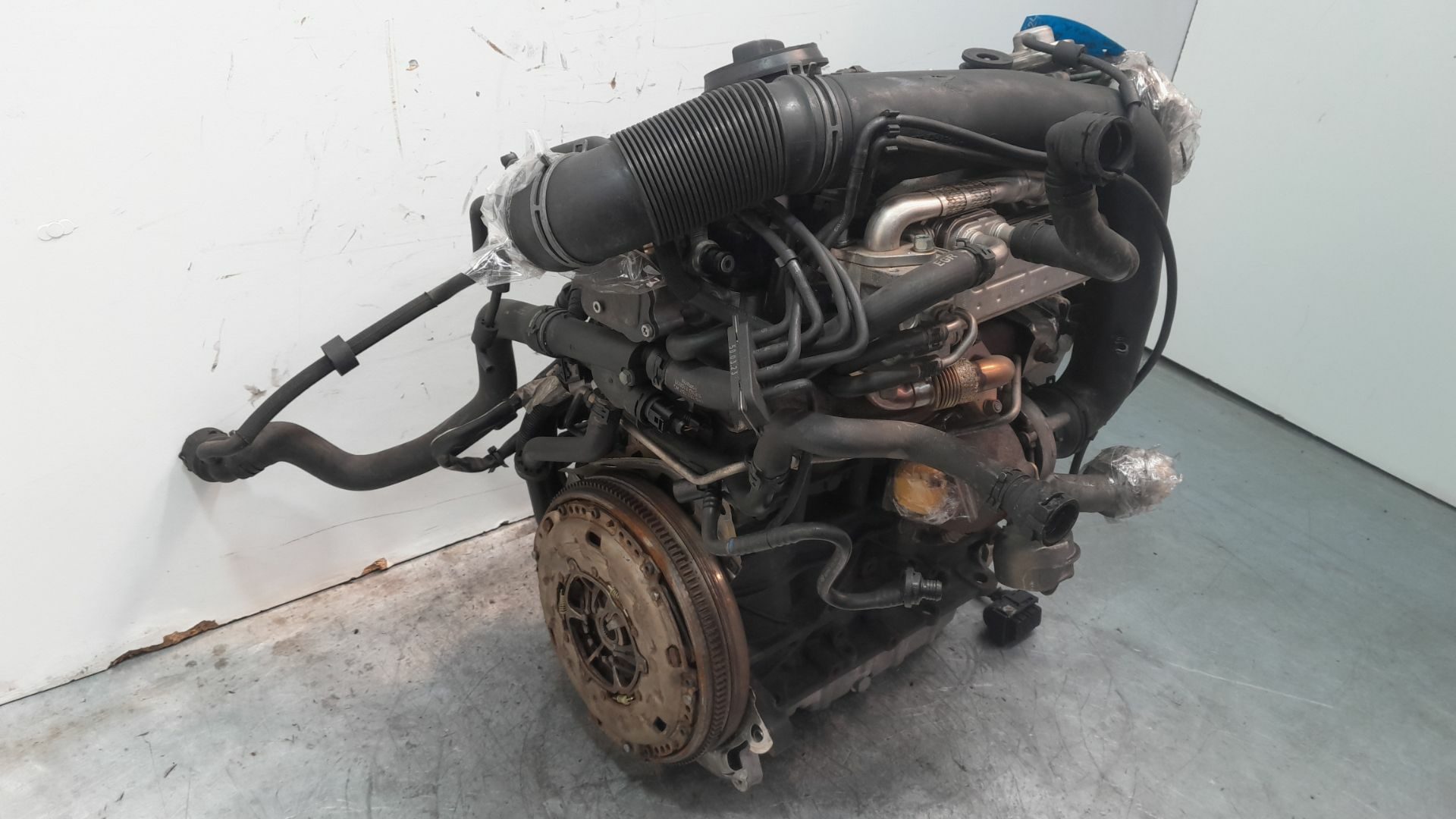 MOTOR COMPLETO - Volkswagen Golf V (1K1) 1.9 TDI 2004 - BKC
