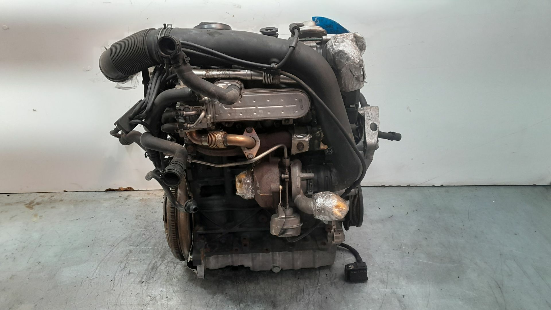 MOTOR COMPLETO - Volkswagen Golf V (1K1) 1.9 TDI 2004 - BKC